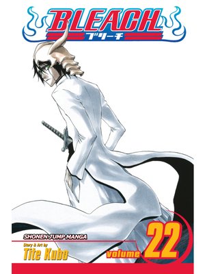 Bleach, Volume 22 - ebook